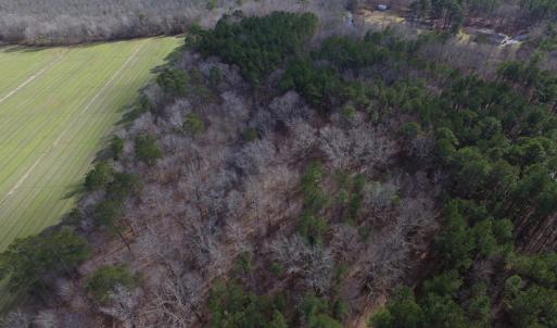 Photo of SOLD!  7.6  Acres of Residential Timber Land for Sale in VA Beach!