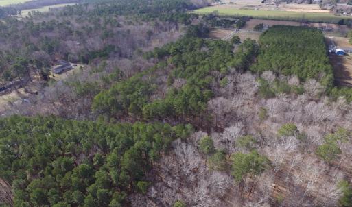 Photo of SOLD!  7.6  Acres of Residential Timber Land for Sale in VA Beach!