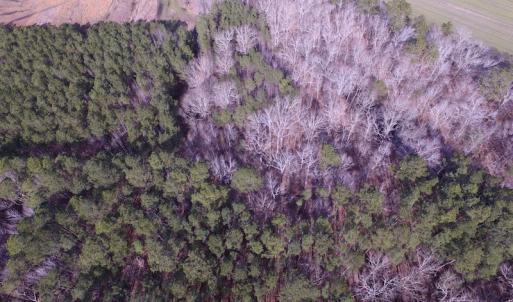 Photo of SOLD!  7.6  Acres of Residential Timber Land for Sale in VA Beach!