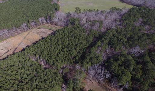 Photo of SOLD!  7.6  Acres of Residential Timber Land for Sale in VA Beach!