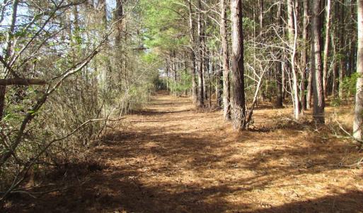Photo of SOLD!  7.6  Acres of Residential Timber Land for Sale in VA Beach!