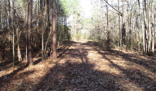 Photo of SOLD!  7.6  Acres of Residential Timber Land for Sale in VA Beach!