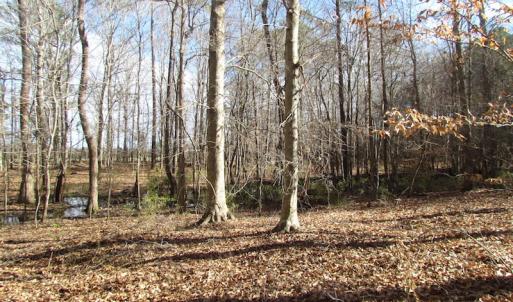 Photo of SOLD!  7.6  Acres of Residential Timber Land for Sale in VA Beach!