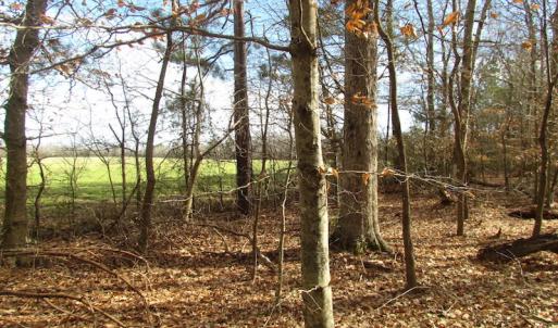 Photo of SOLD!  7.6  Acres of Residential Timber Land for Sale in VA Beach!