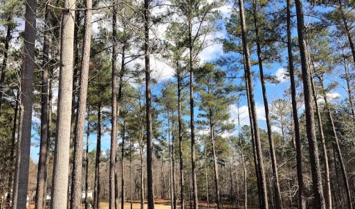 Photo of 20 Acres of Residential Land with Home For Sale in Nottoway County VA!