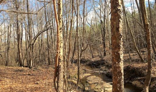 Photo of 20 Acres of Residential Land with Home For Sale in Nottoway County VA!