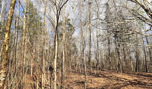 Photo of 20 Acres of Residential Land with Home For Sale in Nottoway County VA!