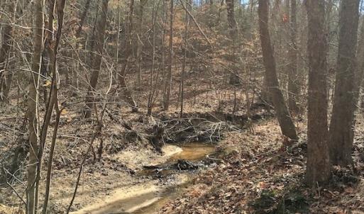 Photo of 20 Acres of Residential Land with Home For Sale in Nottoway County VA!