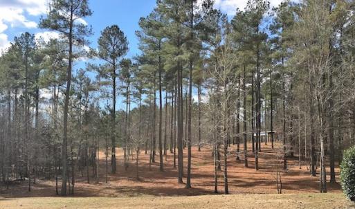 Photo of 20 Acres of Residential Land with Home For Sale in Nottoway County VA!