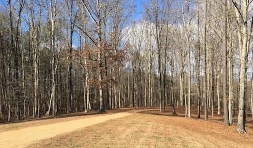 Photo of 20 Acres of Residential Land with Home For Sale in Nottoway County VA!