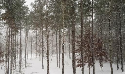 Photo of 20 Acres of Residential Land with Home For Sale in Nottoway County VA!