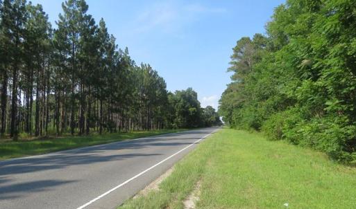 Photo of UNDER CONTRACT!  25 Acres of Timber Land For Sale in Hoke County NC!