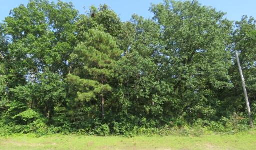 Photo of UNDER CONTRACT!  25 Acres of Timber Land For Sale in Hoke County NC!