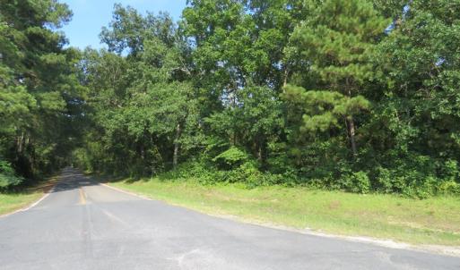 Photo of UNDER CONTRACT!  25 Acres of Timber Land For Sale in Hoke County NC!