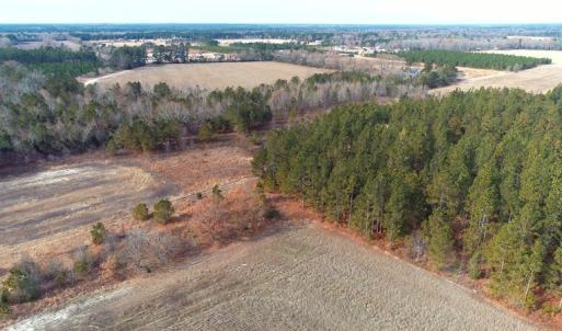 Photo of UNDER CONTRACT!  89 Acres of Timber and Farm Land For Sale in Hoke County NC!