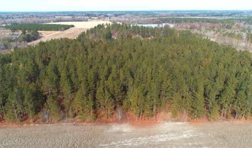 Photo of UNDER CONTRACT!  89 Acres of Timber and Farm Land For Sale in Hoke County NC!