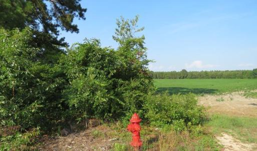 Photo of UNDER CONTRACT!  89 Acres of Timber and Farm Land For Sale in Hoke County NC!