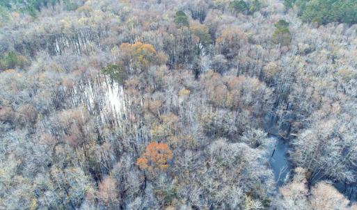Photo of SOLD!!  139 Acres of Timber and Hunting Land For Sale in Hoke County NC!