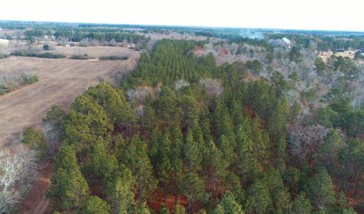 Photo of SOLD!!  139 Acres of Timber and Hunting Land For Sale in Hoke County NC!