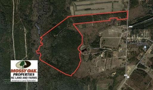 Photo of SOLD!!  139 Acres of Timber and Hunting Land For Sale in Hoke County NC!