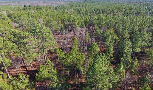 Photo of UNDER CONTRACT!  13.81 Acres of Timber, Residential and Recreational Land For Sale in Richmond County NC!