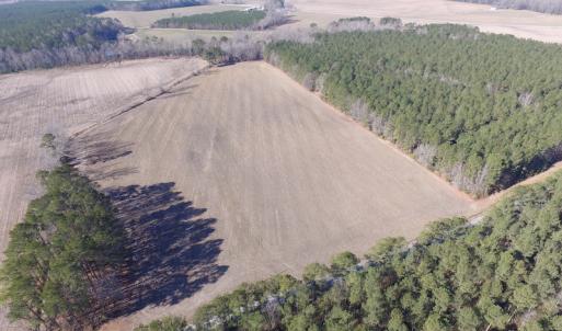 Photo of UNDER CONTRACT!  42.6 Acres of Timber and Farm Land For Sale in Sussex County VA!