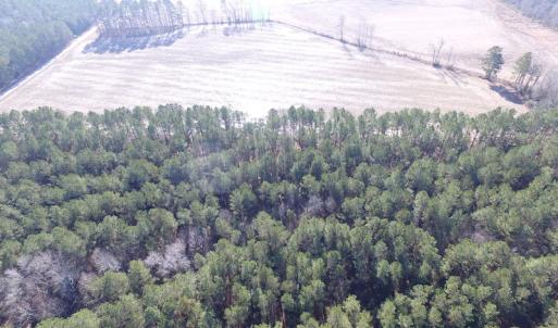 Photo of UNDER CONTRACT!  42.6 Acres of Timber and Farm Land For Sale in Sussex County VA!