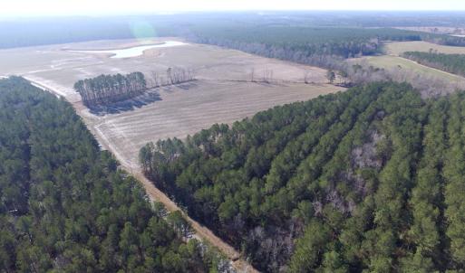 Photo of UNDER CONTRACT!  42.6 Acres of Timber and Farm Land For Sale in Sussex County VA!