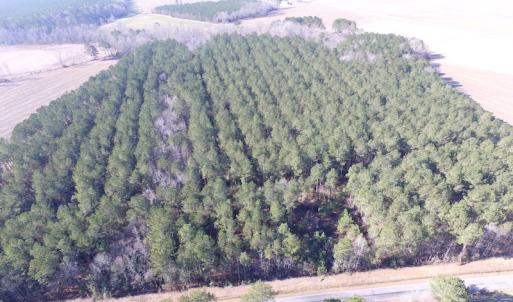 Photo of UNDER CONTRACT!  42.6 Acres of Timber and Farm Land For Sale in Sussex County VA!