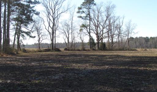 Photo of UNDER CONTRACT!  42.6 Acres of Timber and Farm Land For Sale in Sussex County VA!