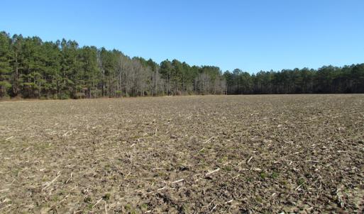 Photo of UNDER CONTRACT!  42.6 Acres of Timber and Farm Land For Sale in Sussex County VA!