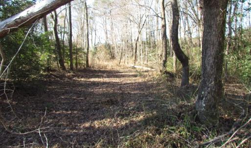 Photo of UNDER CONTRACT!  42.6 Acres of Timber and Farm Land For Sale in Sussex County VA!