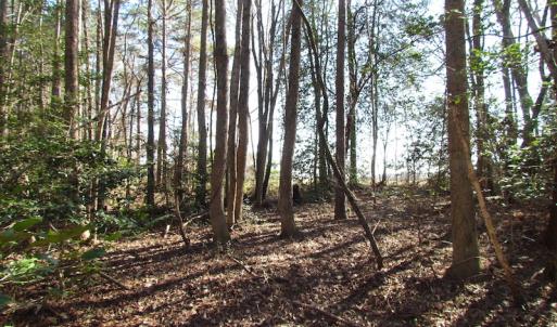 Photo of UNDER CONTRACT!  42.6 Acres of Timber and Farm Land For Sale in Sussex County VA!