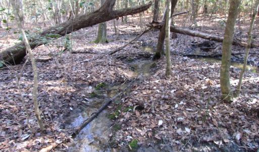 Photo of UNDER CONTRACT!  42.6 Acres of Timber and Farm Land For Sale in Sussex County VA!