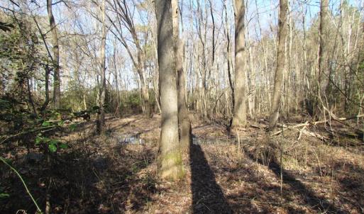 Photo of UNDER CONTRACT!  42.6 Acres of Timber and Farm Land For Sale in Sussex County VA!