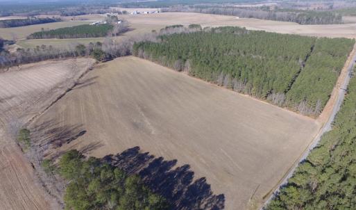 Photo of UNDER CONTRACT!  42.6 Acres of Timber and Farm Land For Sale in Sussex County VA!