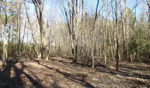 Photo of UNDER CONTRACT!  42.6 Acres of Timber and Farm Land For Sale in Sussex County VA!