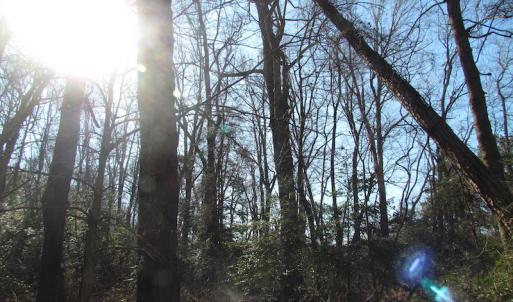 Photo of UNDER CONTRACT!  42.6 Acres of Timber and Farm Land For Sale in Sussex County VA!