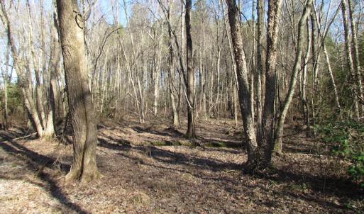 Photo of UNDER CONTRACT!  42.6 Acres of Timber and Farm Land For Sale in Sussex County VA!