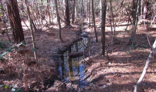 Photo of UNDER CONTRACT!  42.6 Acres of Timber and Farm Land For Sale in Sussex County VA!