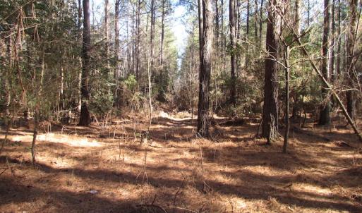 Photo of UNDER CONTRACT!  42.6 Acres of Timber and Farm Land For Sale in Sussex County VA!