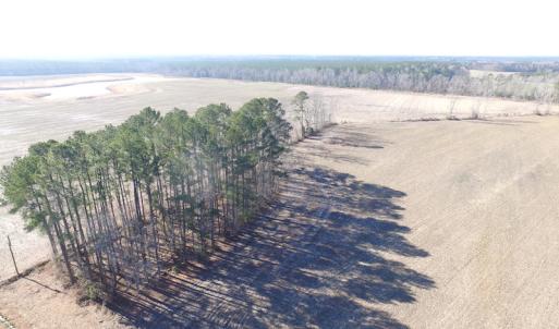 Photo of UNDER CONTRACT!  42.6 Acres of Timber and Farm Land For Sale in Sussex County VA!