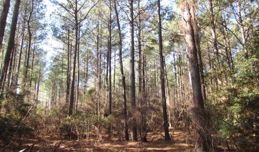 Photo of UNDER CONTRACT!  42.6 Acres of Timber and Farm Land For Sale in Sussex County VA!