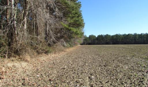 Photo of UNDER CONTRACT!  42.6 Acres of Timber and Farm Land For Sale in Sussex County VA!