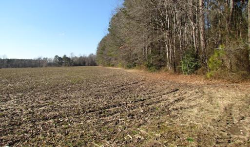 Photo of UNDER CONTRACT!  42.6 Acres of Timber and Farm Land For Sale in Sussex County VA!