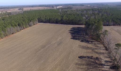 Photo of UNDER CONTRACT!  42.6 Acres of Timber and Farm Land For Sale in Sussex County VA!