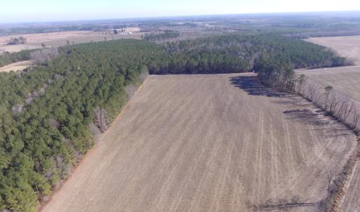 Photo of UNDER CONTRACT!  42.6 Acres of Timber and Farm Land For Sale in Sussex County VA!