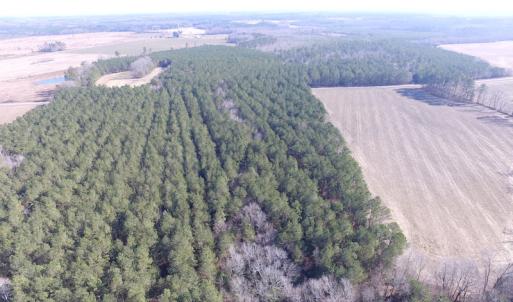 Photo of UNDER CONTRACT!  42.6 Acres of Timber and Farm Land For Sale in Sussex County VA!