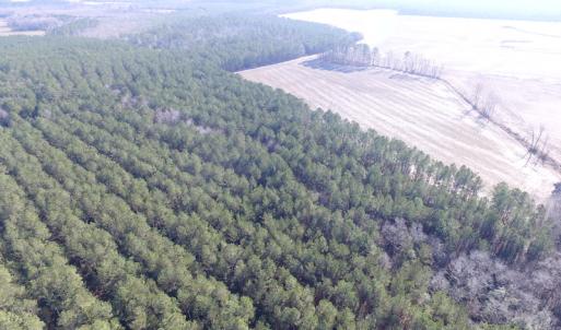 Photo of UNDER CONTRACT!  42.6 Acres of Timber and Farm Land For Sale in Sussex County VA!