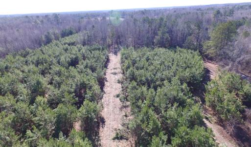 Photo of UNDER CONTRACT!  17.7 Acres of Residential and Hunting Land For Sale in Greensville County VA!
